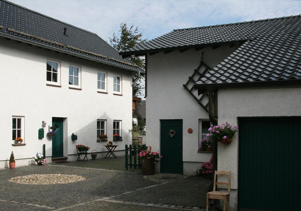 Ferienhaus Ginsterbluete Schleiden Pokój zdjęcie